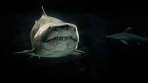Read more about the article Top 10 Largest Shark in the World