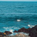 Whale Watching in Ponta Delgada: A Marine Experience in the Azores