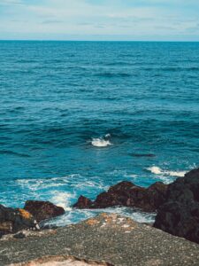 Read more about the article Whale Watching in Ponta Delgada: A Marine Experience in the Azores
