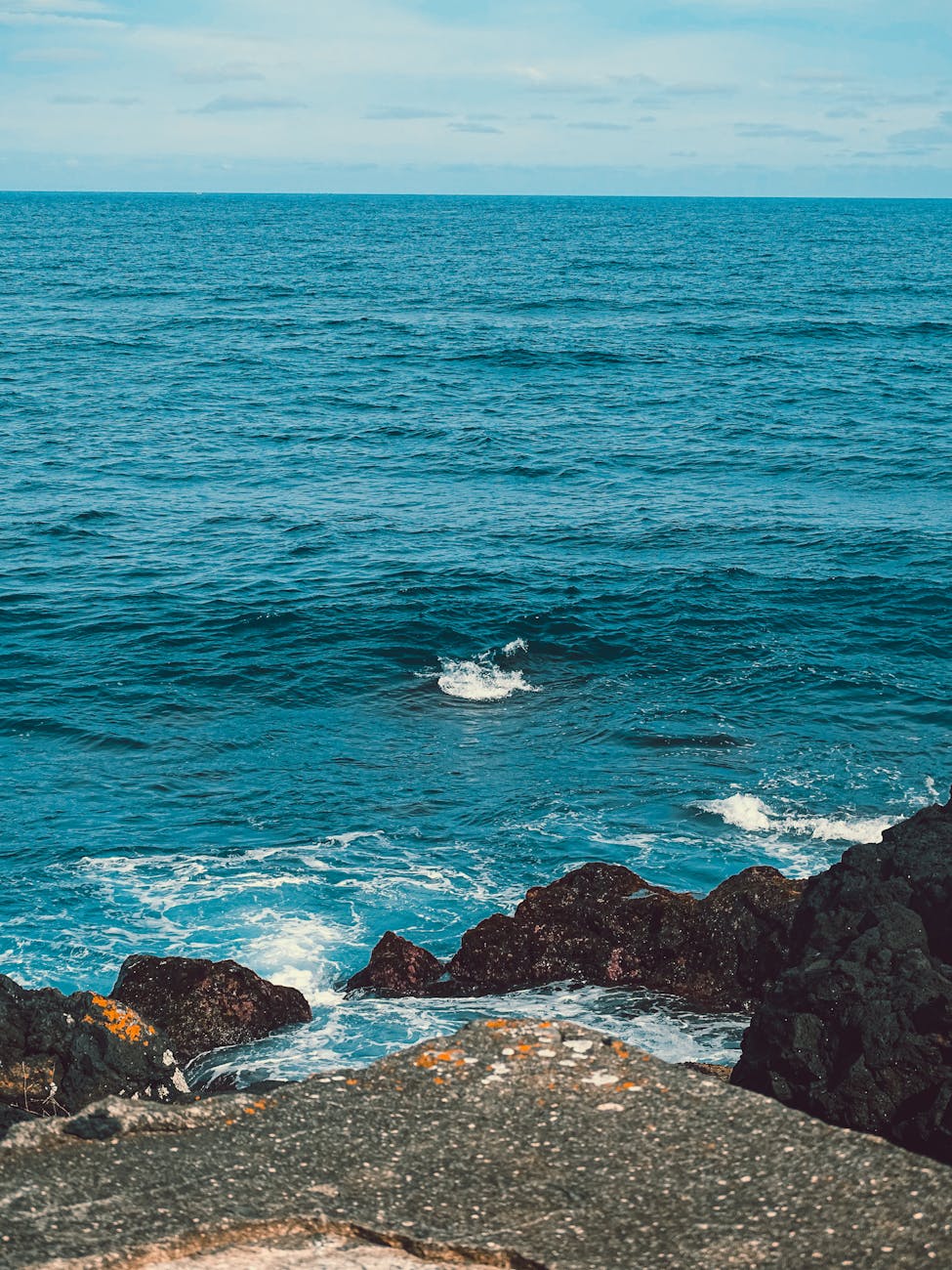 Read more about the article Whale Watching in Ponta Delgada: A Marine Experience in the Azores