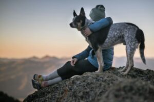 Bond With Your Dog