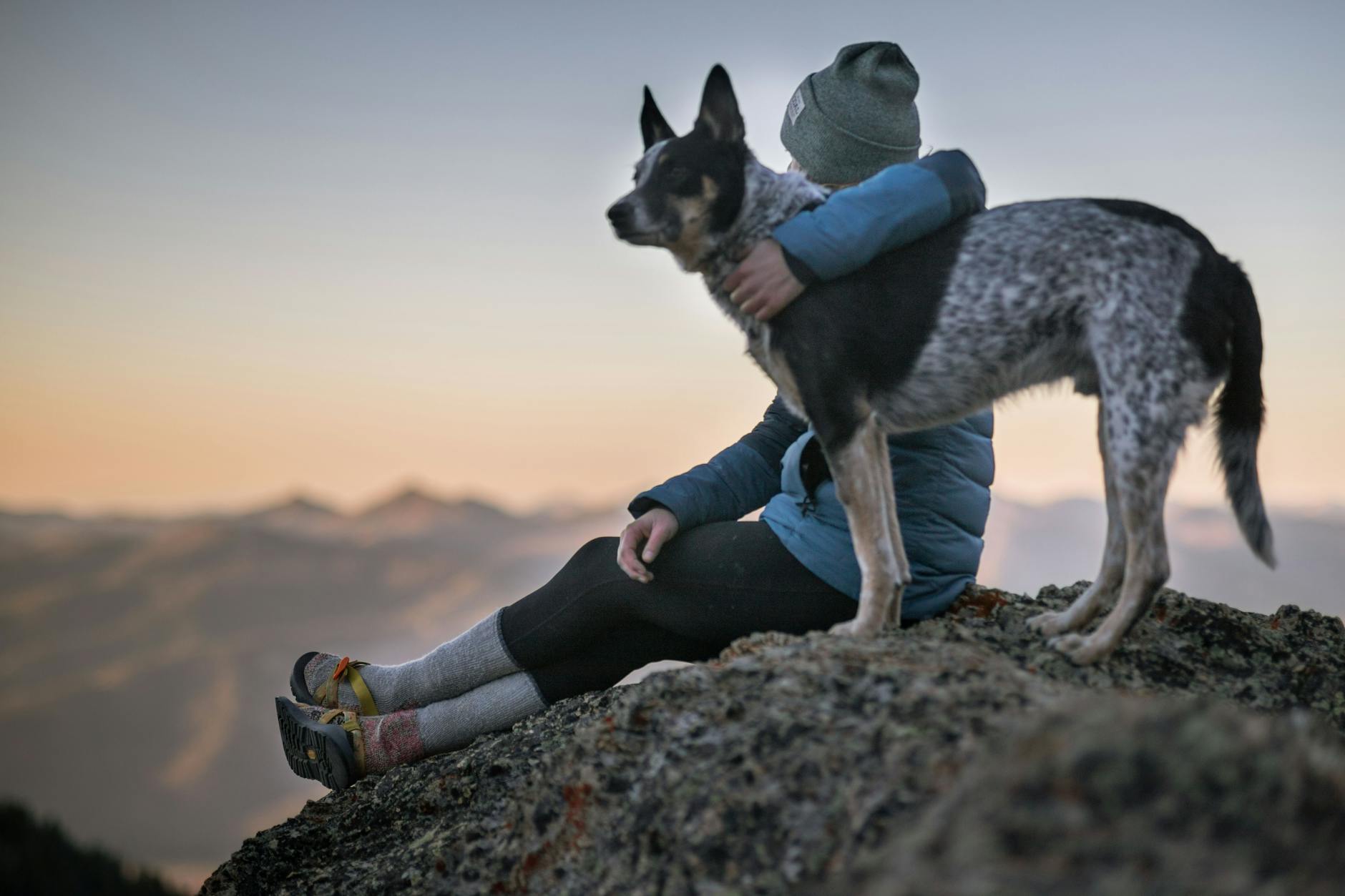 Bond With Your Dog
