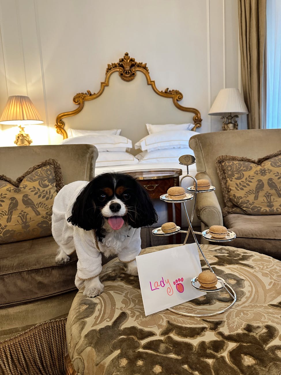 Pet Friendly Hotels